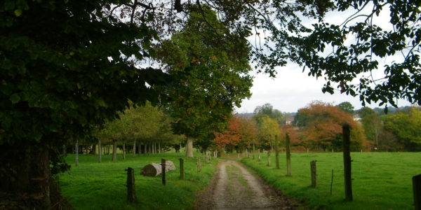 Chemin du Vieux Moulin